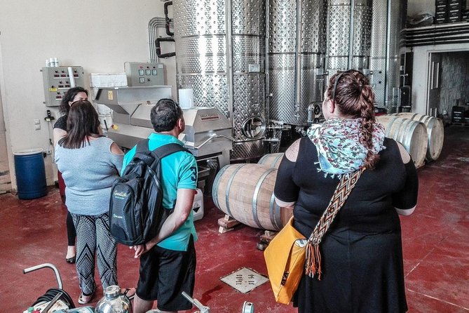 The Gourmet Wine Tour of Heraklion Area - Conclusion