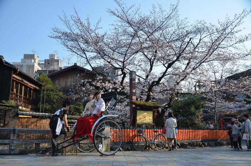 Tokyo: Private Cherry Blossom Experience - Common questions