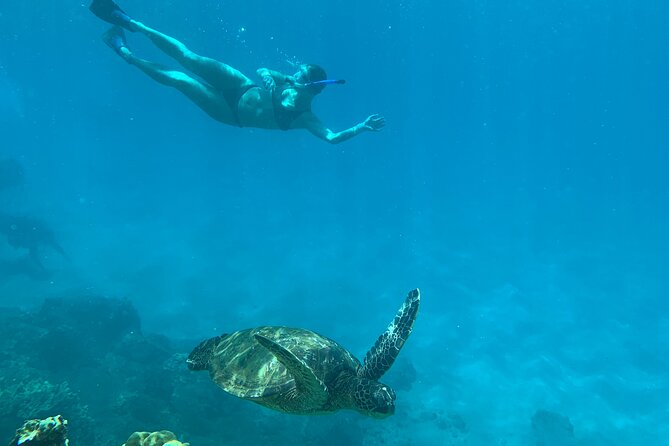 Turtle Town Snorkel With Photo and Video - Common questions