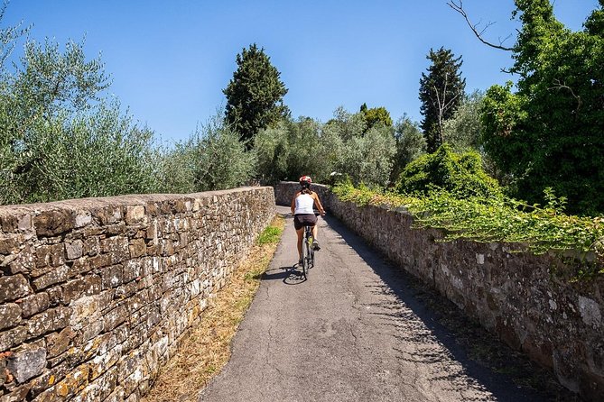 Tuscan Country Bike Tour With Wine and Olive Oil Tastings - Tour Highlights