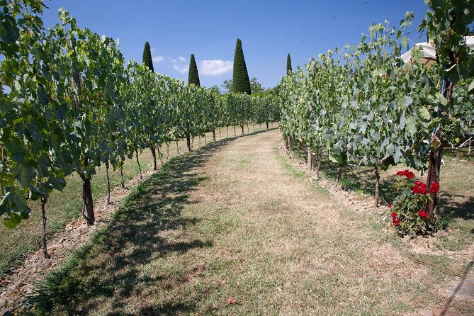 Tuscan Wine Tour in San Gimignano: Tastings and Lunch - Common questions