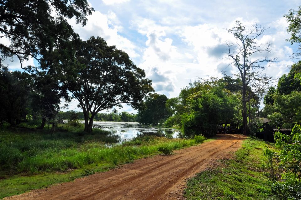 Udawalawa National Park: Private Safari - Last Words