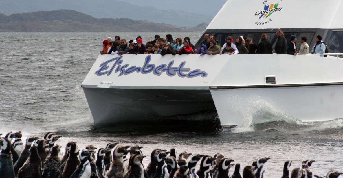 Ushuaia: Penguin Watching Tour by Catamaran - Last Words