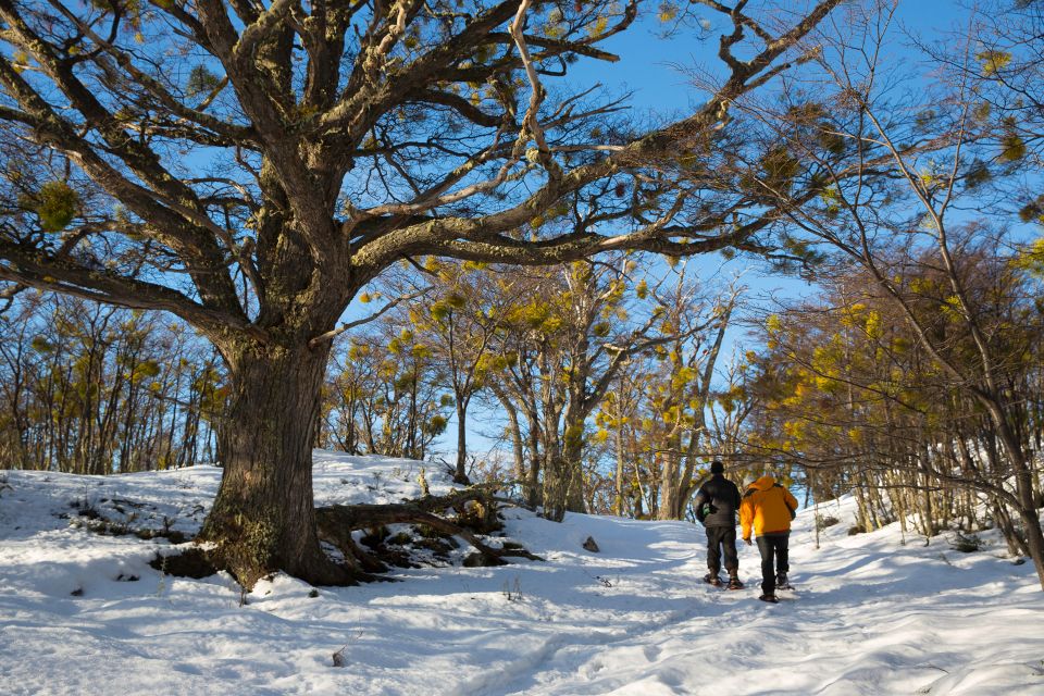 Ushuaia: Winter Tierra Del Fuego Hiking and Canoeing Tour - Common questions