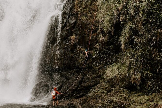 Waterfall Rappelling at Kulaniapia Falls: 120 Foot Drop, 15 Minutes From Hilo - Last Words