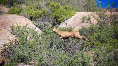 West Coast National Park. Private Tour. - Logistics and Collection