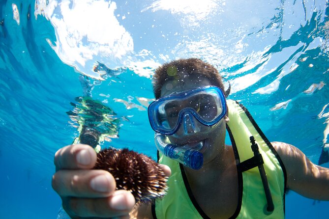 West Oahu Hawaiian Green Sea Turtle, Dolphin Snorkel Sail W Lunch - Last Words