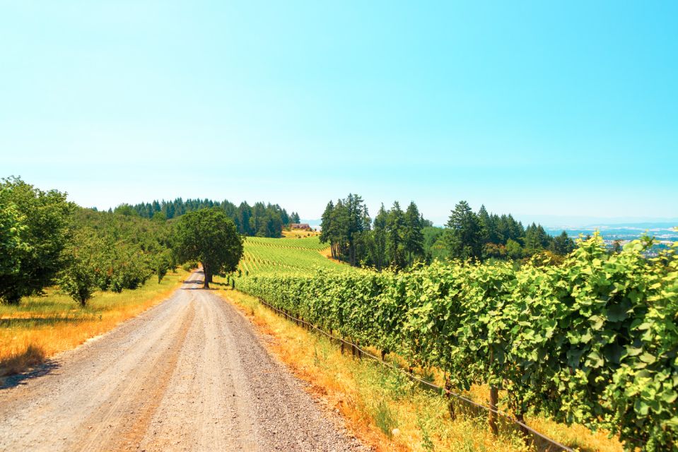 Willamette Valley Wine Tour (Tasting Fees Included) - Personalized Wine Tasting Experience
