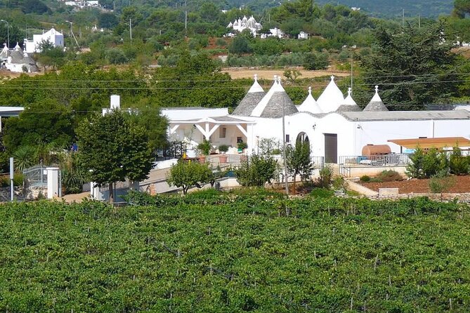 Wine Ostuni, Tour of an Apulian Winery With Traditional Lunch or Aperitivo - Food and Wine Highlights