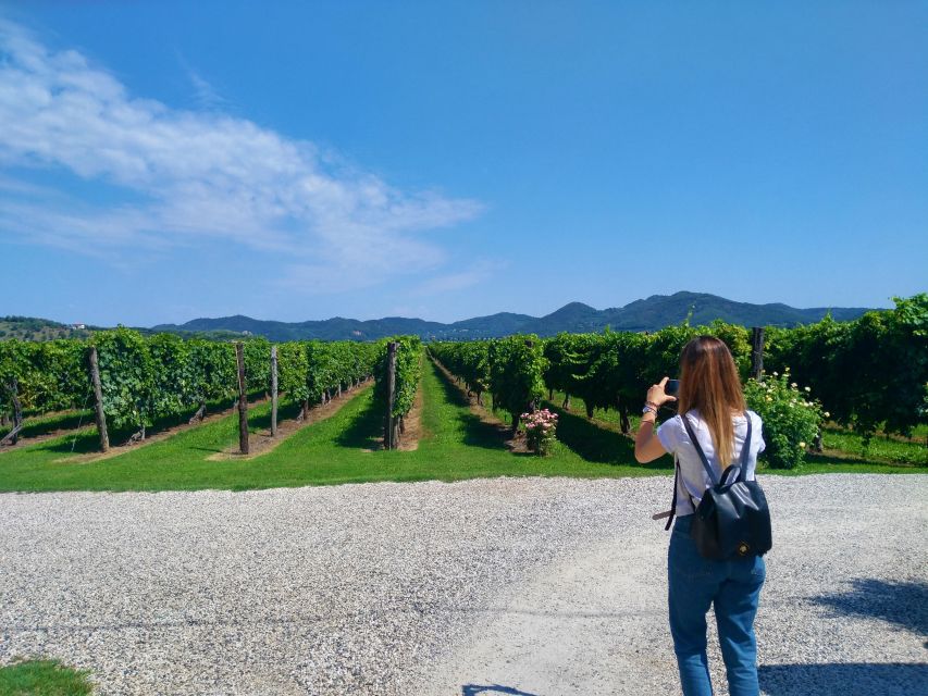 Wine Tour in the Euganean Hills From Abano Montegrotto - Directions for Tour Starting Point