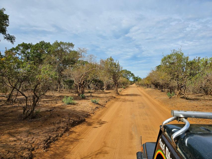 Yala National Park Wildlife Safari From Kaluthara - Directions and Meeting Point