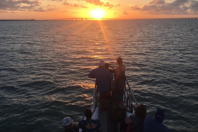 90-Minute Dolphin Watch Tour of South Padre Island - Just The Basics