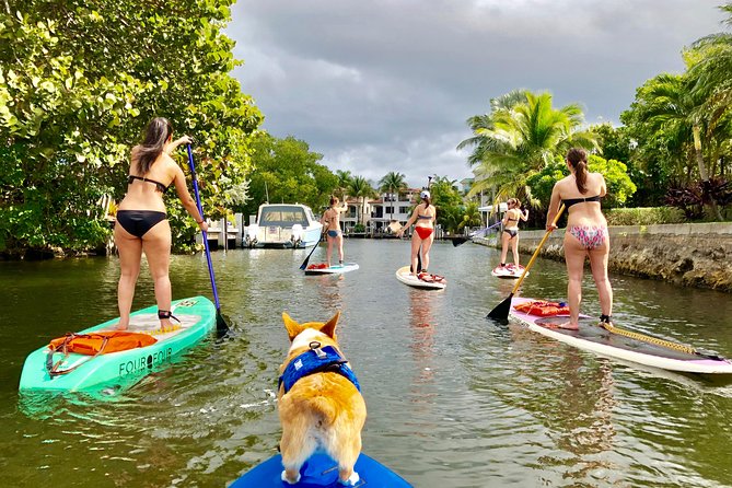 90-Minute SUP Tour of Las Olas Canals With a Doggy Guide  - Fort Lauderdale - Key Points