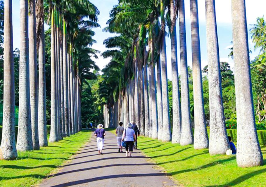 2 Days -Kandy and Nuwara Eliya Tour From Colombo - Last Words