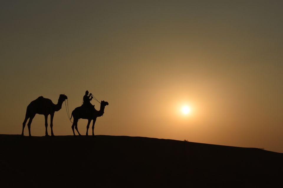 2 Nights 3 Days Jaisalmer Tour & Non-Touristic Camel Safari - Last Words