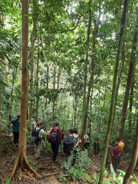 3D2N Orangutan Expedition:from Bukit Lawang - Common questions
