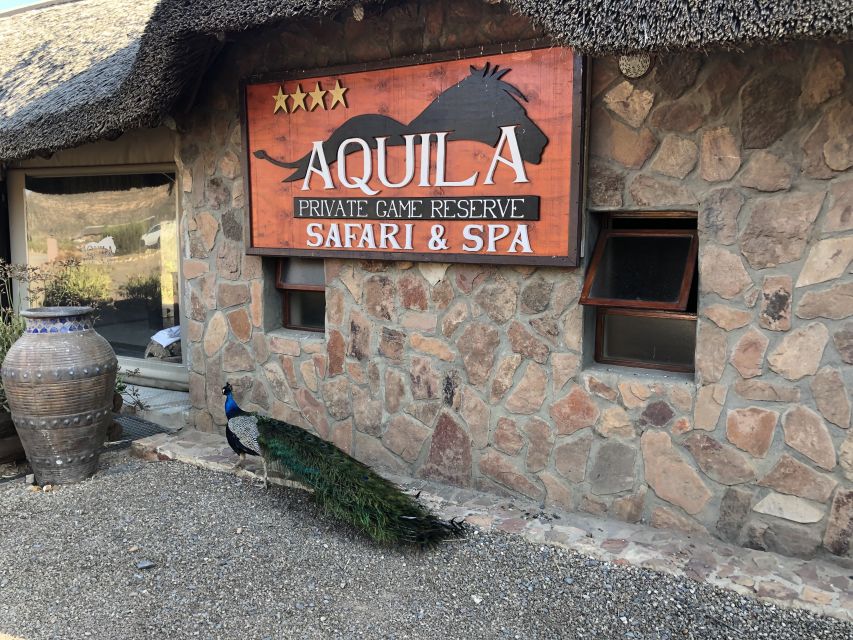 Aquila Reserve: Private Day Tour With Shared Game Drive - Last Words