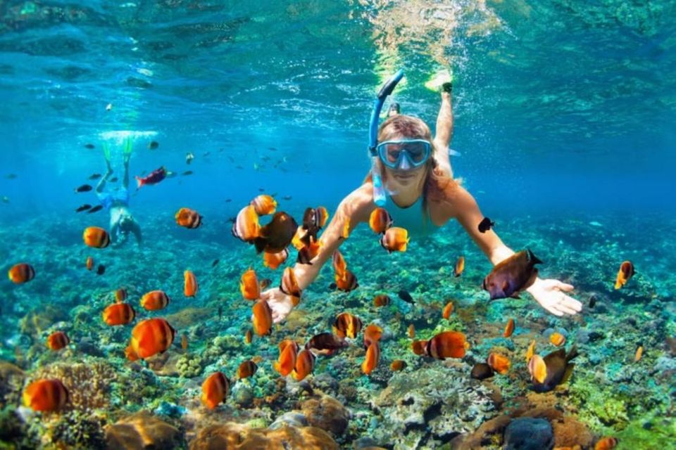 Bali Blue Lagoon Snorkeling With Lunch and Private Transfer - Last Words