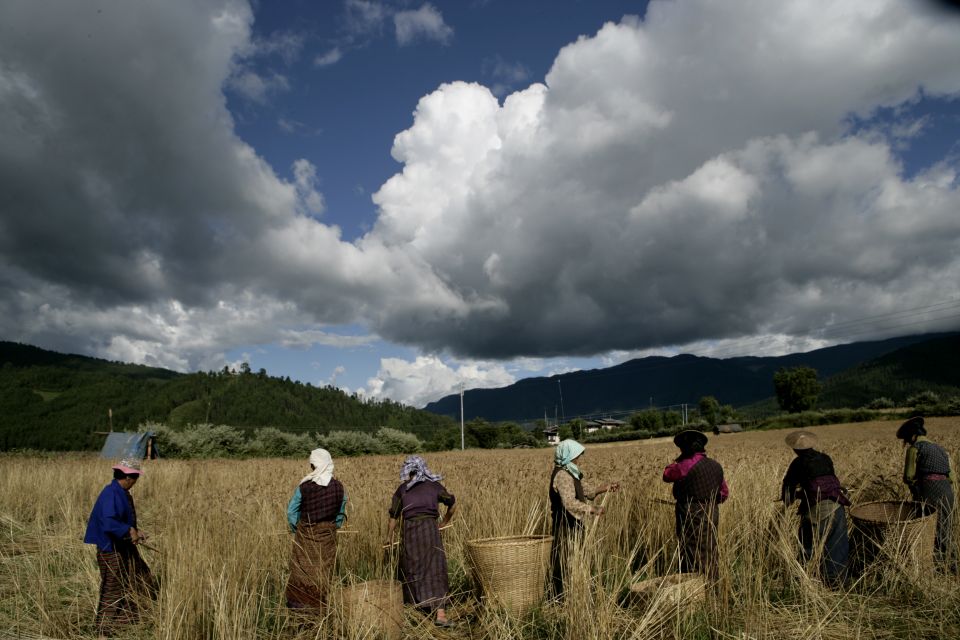 Bhutan: 15 Day Best of Bhutan - Trek to Taktsang Monastery