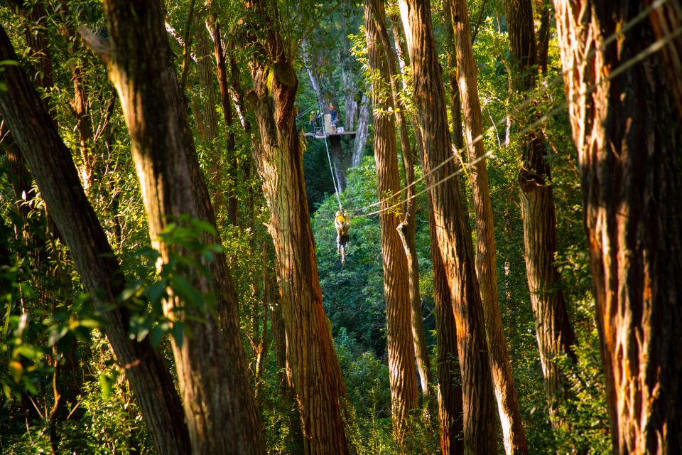 Big Island: Full-Day Kohala Zipline and Waterfall Adventure - Common questions