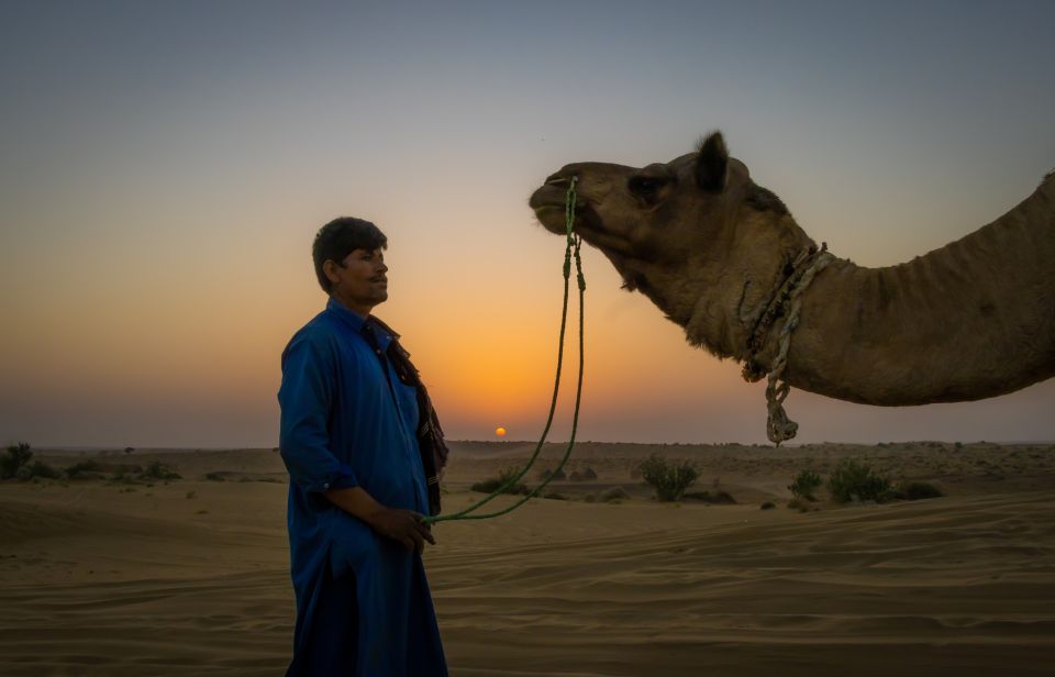 Billion of Stars Experience With Non Touristic Camel Safari - Common questions