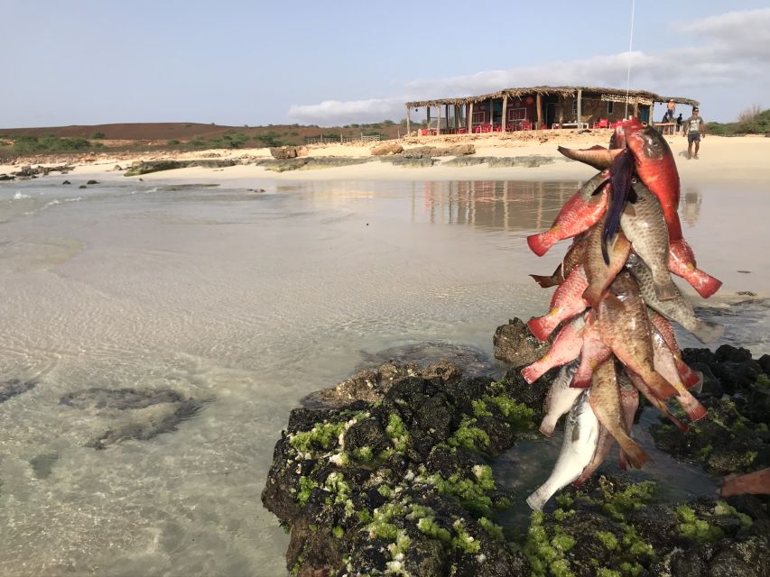 Boa Vista: Lobster Lunch at Santa Monica Beach - Common questions