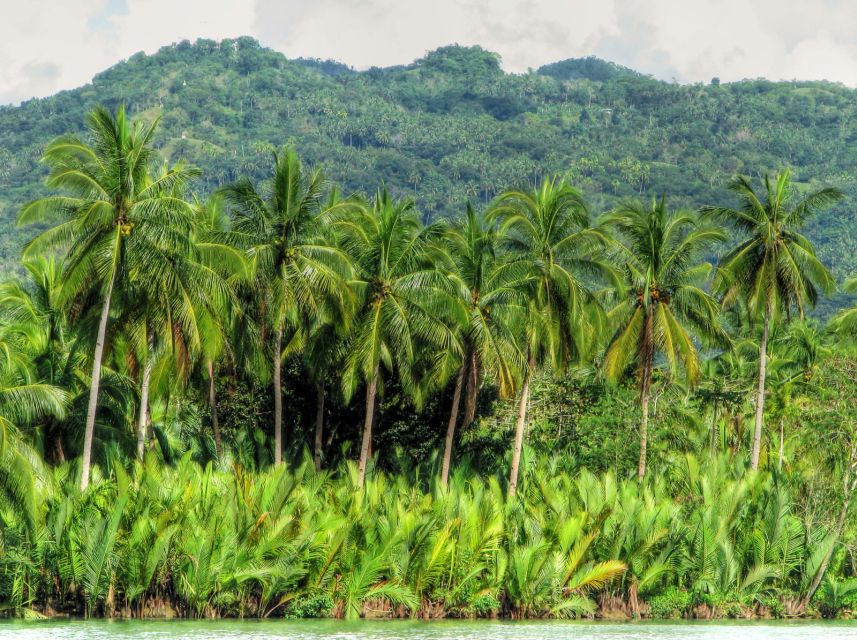 Bohol: Loboc River Buffet-Lunch Cruise With Private Transfer - Last Words