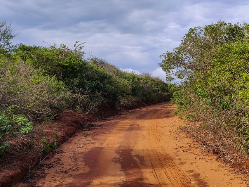 Bundala National Park: 3-Hour Morning or Evening Safari - Common questions