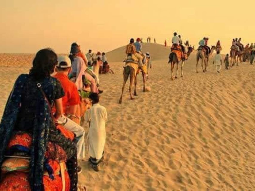 Camel Safari Half Day Tour in Jodhpur With Dinner - Common questions