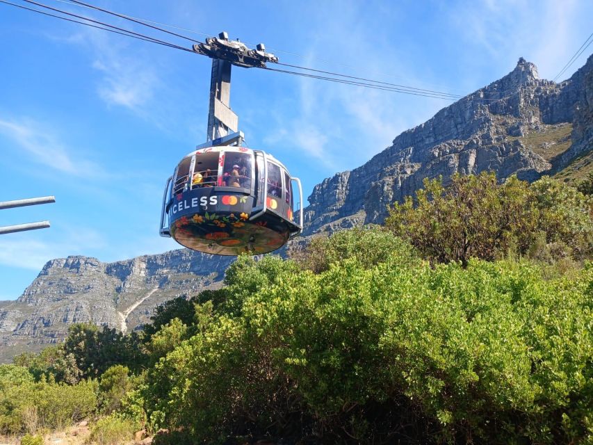 Cape Town: Table Mountain, Cape Point, & Penguins Group Tour - Common questions