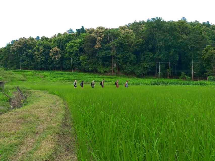 Chiang Mai: 2-Day Jungle Trek With Elephant Farm & Raft Ride - Last Words