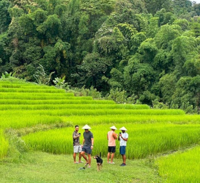 Chiang Mai: Doi Inthanon Park and Pha Dok Siew Trail Trek - Common questions