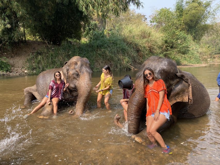 Chiang Mai: Elephant Sanctuary and Sticky Waterfall Tour - Common questions