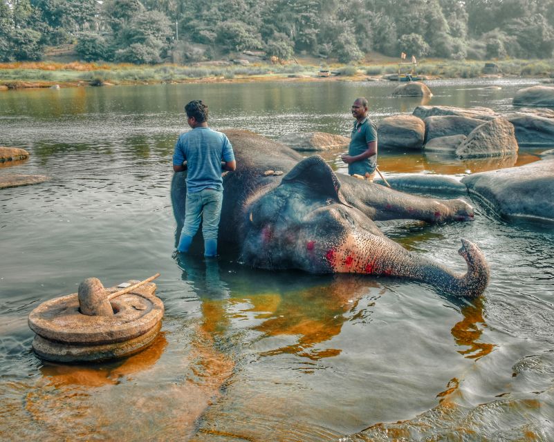 Chitwan Jungle Safari With Elephant Bath (Exclusive Tour) - Common questions