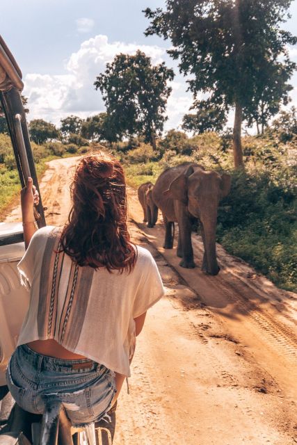 Colombo: All Inclusive Sigiriya & National Park Day Safari - Last Words