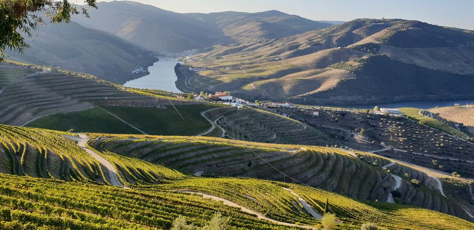 Douro Valley: Premium Full-Day Tour Experience - Common questions