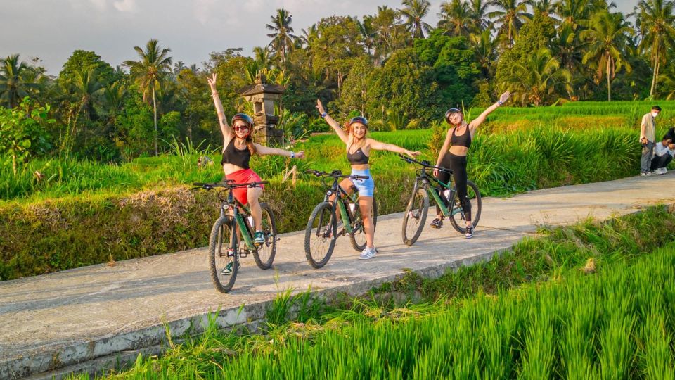 E-Bike: Ubud Rice Terraces & Traditional Villages Cycling - Experience Highlights