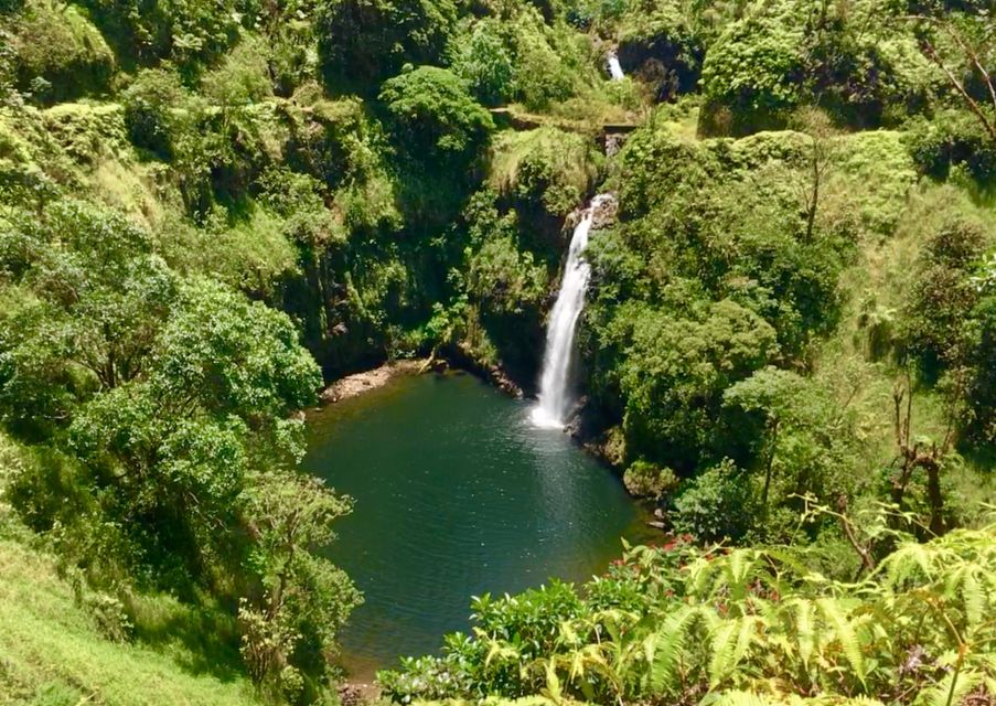 East Maui: Private Rainforest or Road to Hana Loop Tour - Last Words