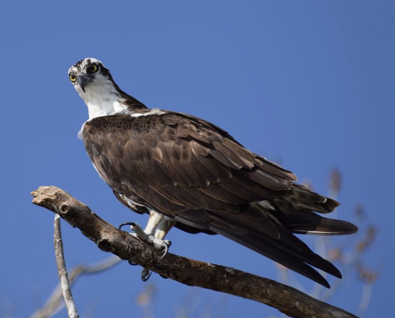 Everglades Day Safari From Fort Lauderdale - Last Words