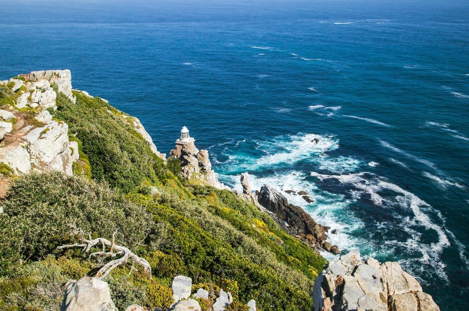 Fom Cape Town: Cape Point & Penguins Shared Group Day Tour - Common questions
