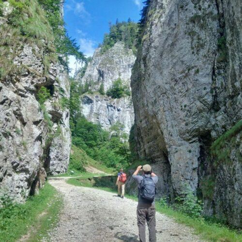 From Brasov: Piatra Craiului National Park 2-Day Guided Trek - Culinary Experience and Village Visits