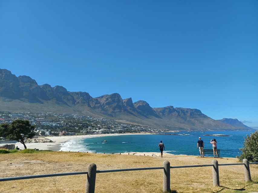 From Cape Town: Cape of Good Hope Guided Private Tour - Common questions