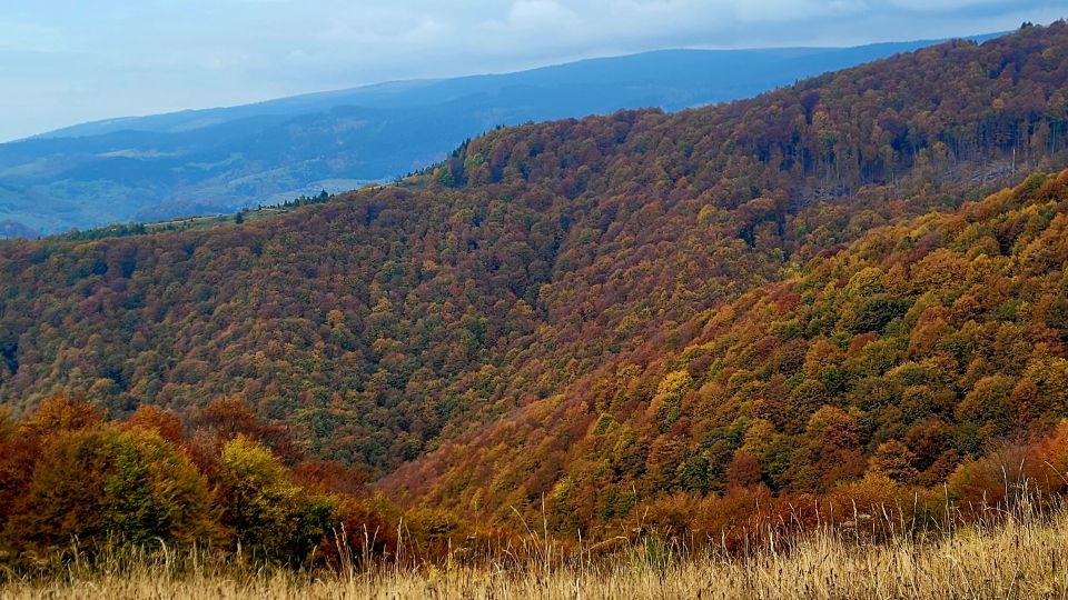 From Cluj-Napoca: Apuseni Mountains Hiking Guided Day Tour - Common questions