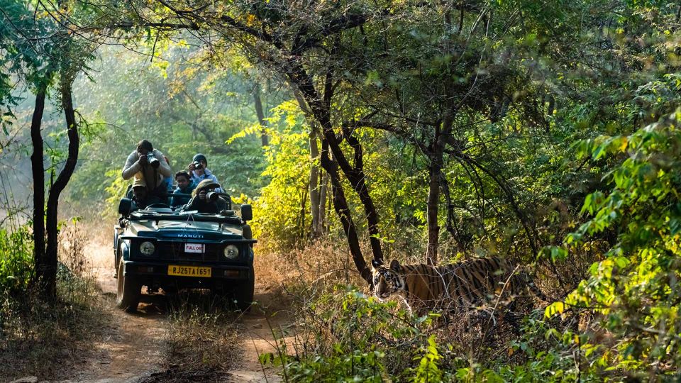 From Delhi: 3-Day Wildlife Trip to Jim Corbett National Park - Common questions