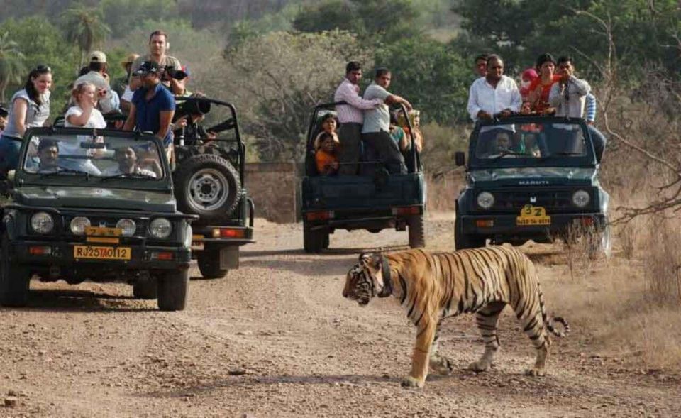 From Delhi: 7-Day Golden Triangle Trip & Ranthambore Safari - Common questions