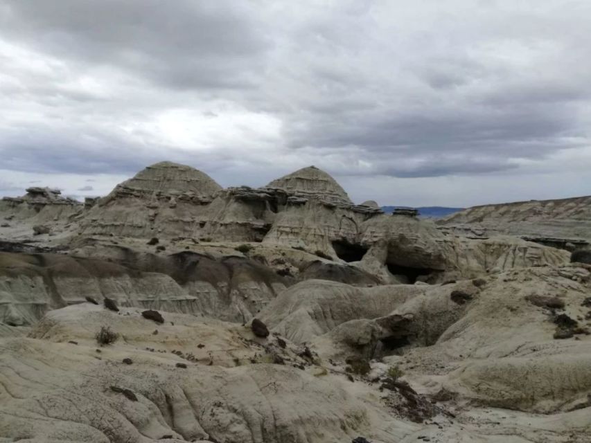 From El Calafate: La Leona Petrified Forest Day Trip - Last Words