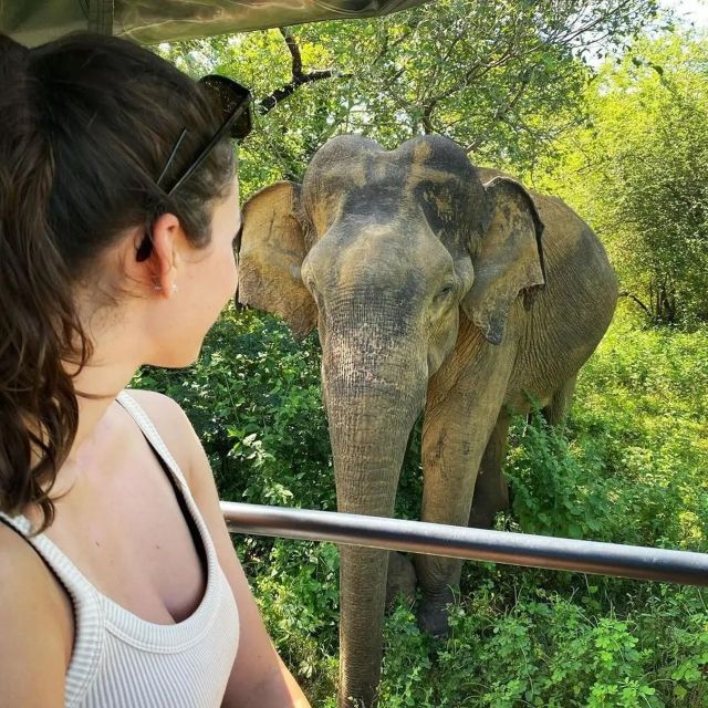 From Galle/Weligama/Mirissa : Yala Safari & Bird Park Tour - Last Words