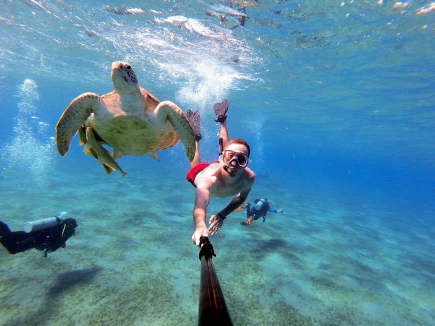 From Hurghada: Snorkeling Trip in Abu Dabbab With Transfers - Common questions