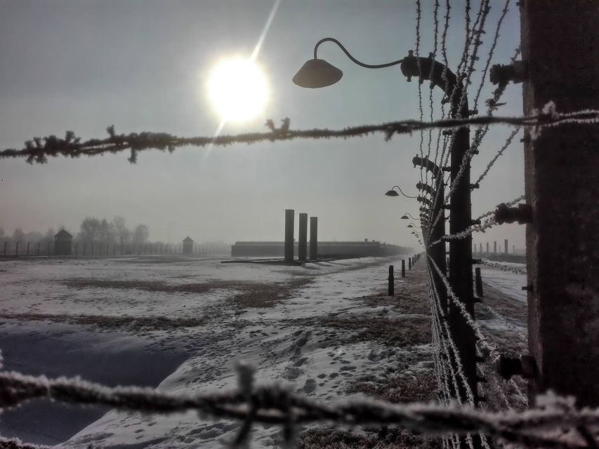 From Krakow: Auschwitz-Birkenau Tour With a Licensed Guide - Common questions
