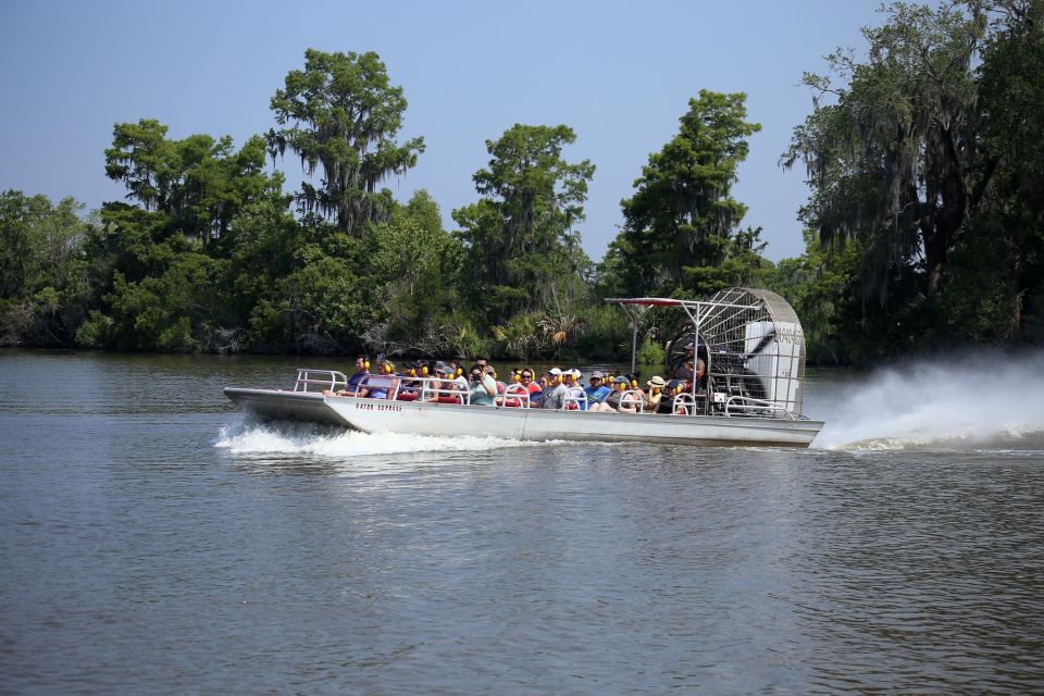 From Lafitte: Swamp Tours South of New Orleans by Airboat - Last Words